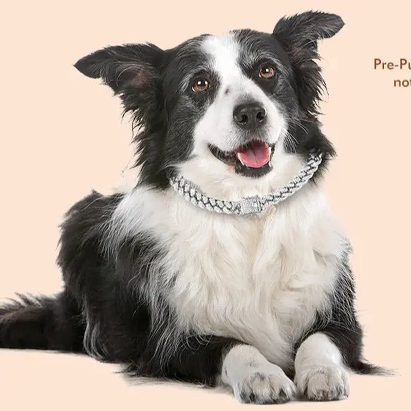 Sparkling Gold Rhinestone Dog Chain Collar - Bling Metal Cuban Link Necklace for Small to Large Pets
