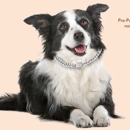 Sparkling Gold Rhinestone Dog Chain Collar - Bling Metal Cuban Link Necklace for Small to Large Pets