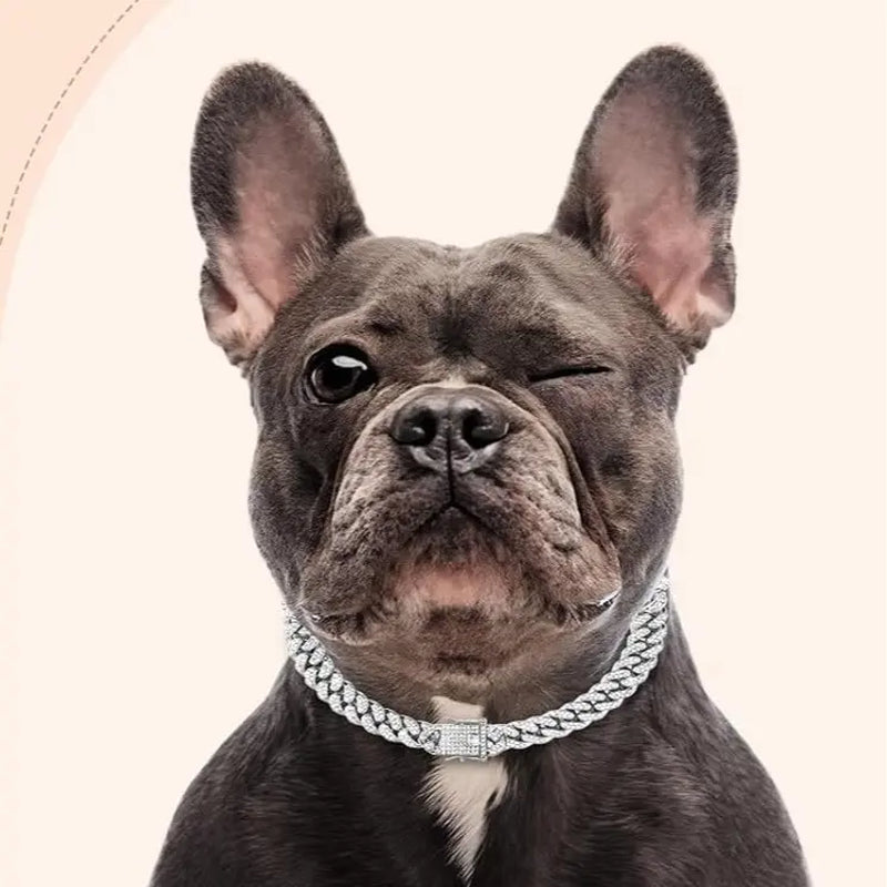Sparkling Gold Rhinestone Dog Chain Collar - Bling Metal Cuban Link Necklace for Small to Large Pets