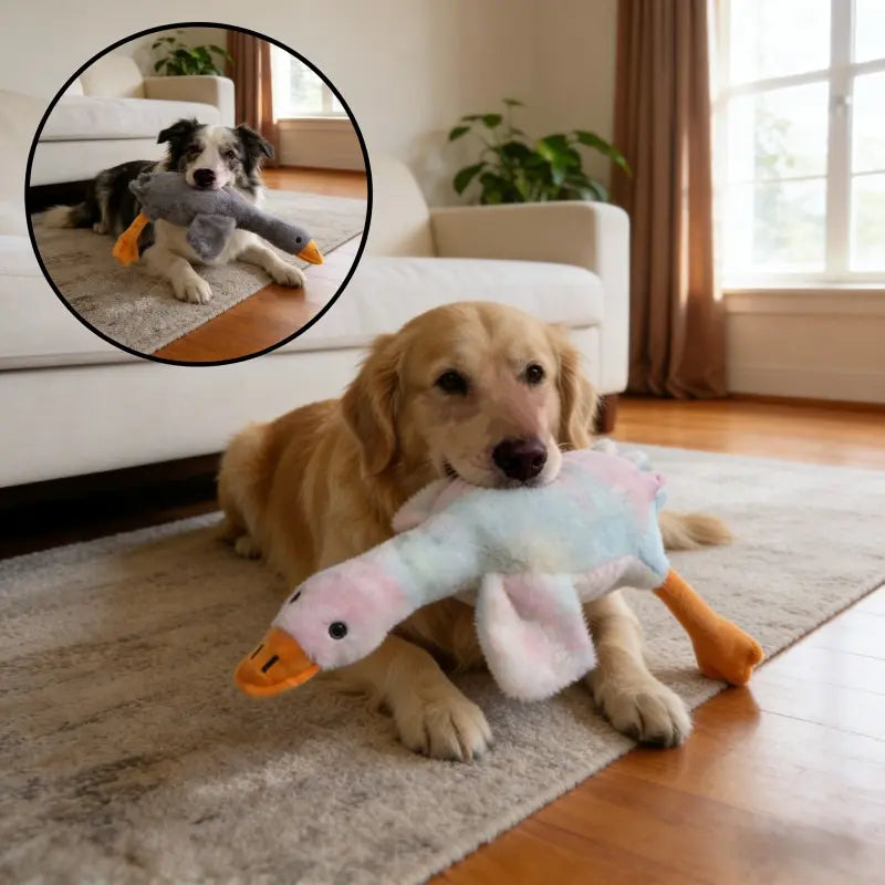 50Cm Soft Colorful Duck Plush Toy - Perfect Relaxation Buddy for Cats & Dogs, Ideal Anxiety Relief Gift for Pets