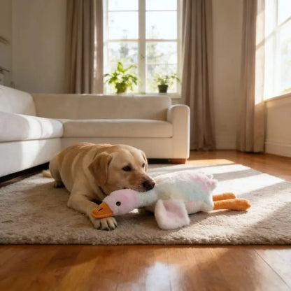 50Cm Soft Colorful Duck Plush Toy - Perfect Relaxation Buddy for Cats & Dogs, Ideal Anxiety Relief Gift for Pets