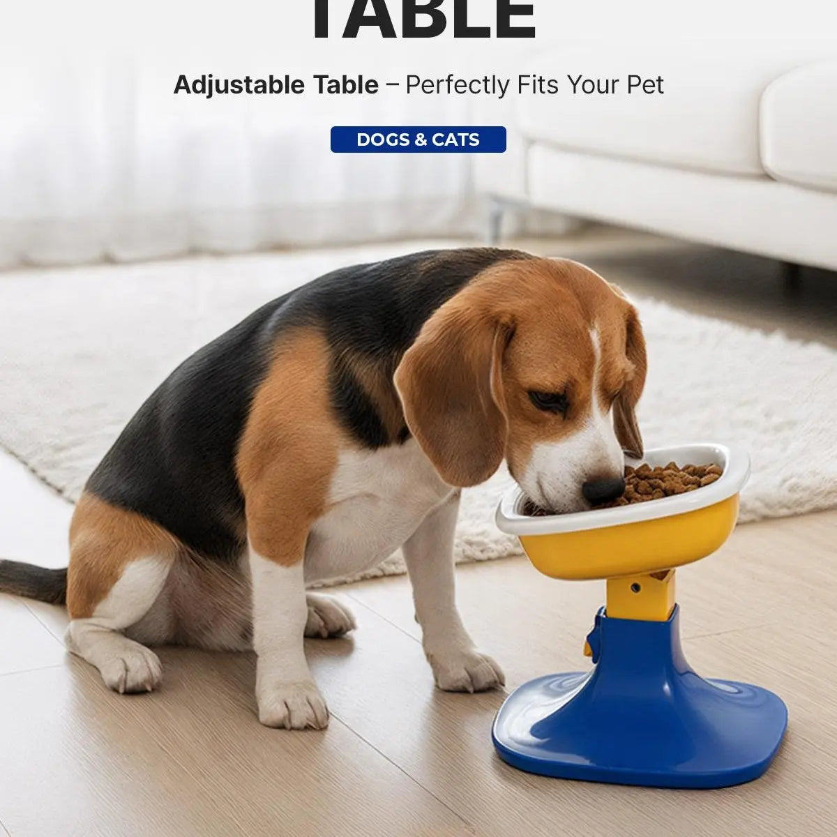 PETHROOM Adjustable Height Pet Feeding Stand & Durable Ceramic Bowl Set - Non-Slip Design for Dogs and Cats