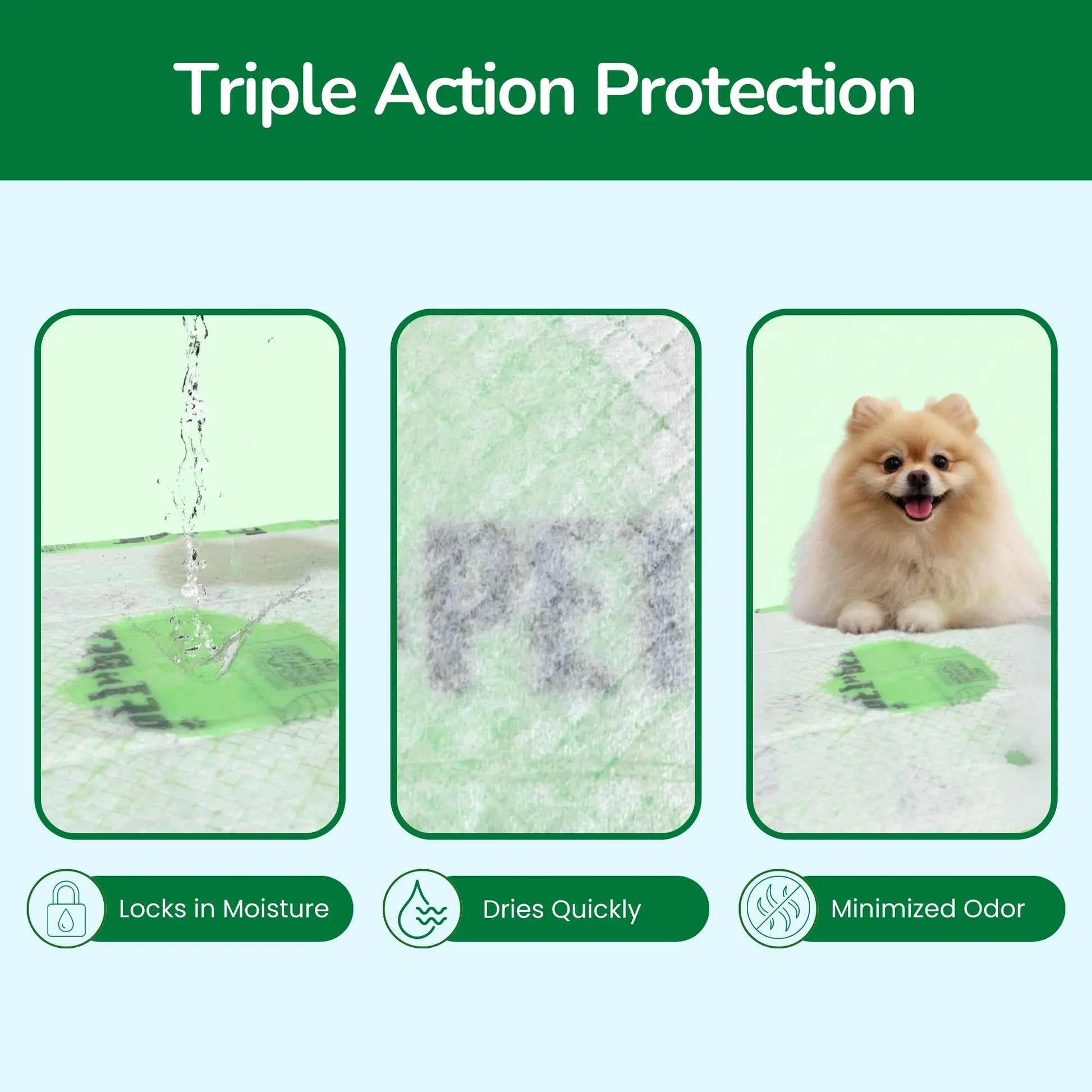 Pet N Pet 50 Count Puppy Training Pads - Eco-Friendly, Super Absorbent & Leak-Proof Unscented Pads for Easy Potty Training