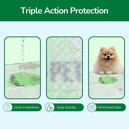 Pet N Pet 50 Count Puppy Training Pads - Eco-Friendly, Super Absorbent & Leak-Proof Unscented Pads for Easy Potty Training