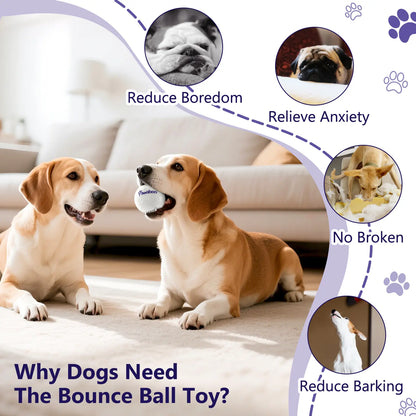 Indestructible Dog Balls for Aggressive Chewers - High Bouncy Interactive Fetch Toy for All Dog Sizes!