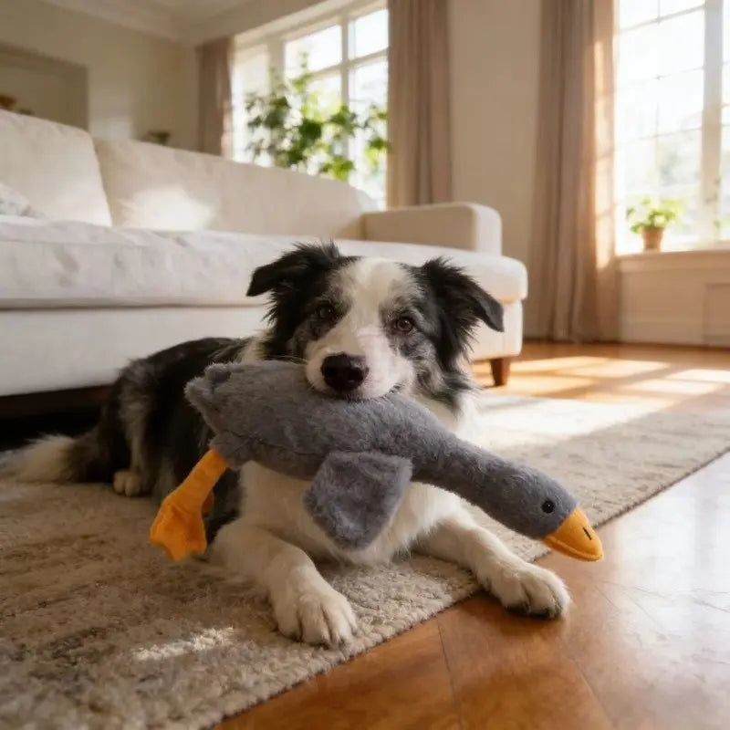 50Cm Soft Colorful Duck Plush Toy - Perfect Relaxation Buddy for Cats & Dogs, Ideal Anxiety Relief Gift for Pets