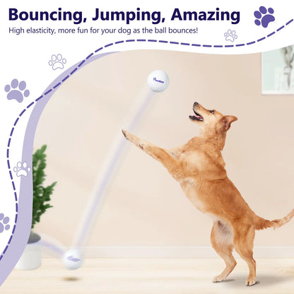 Indestructible Dog Balls for Aggressive Chewers - High Bouncy Interactive Fetch Toy for All Dog Sizes!