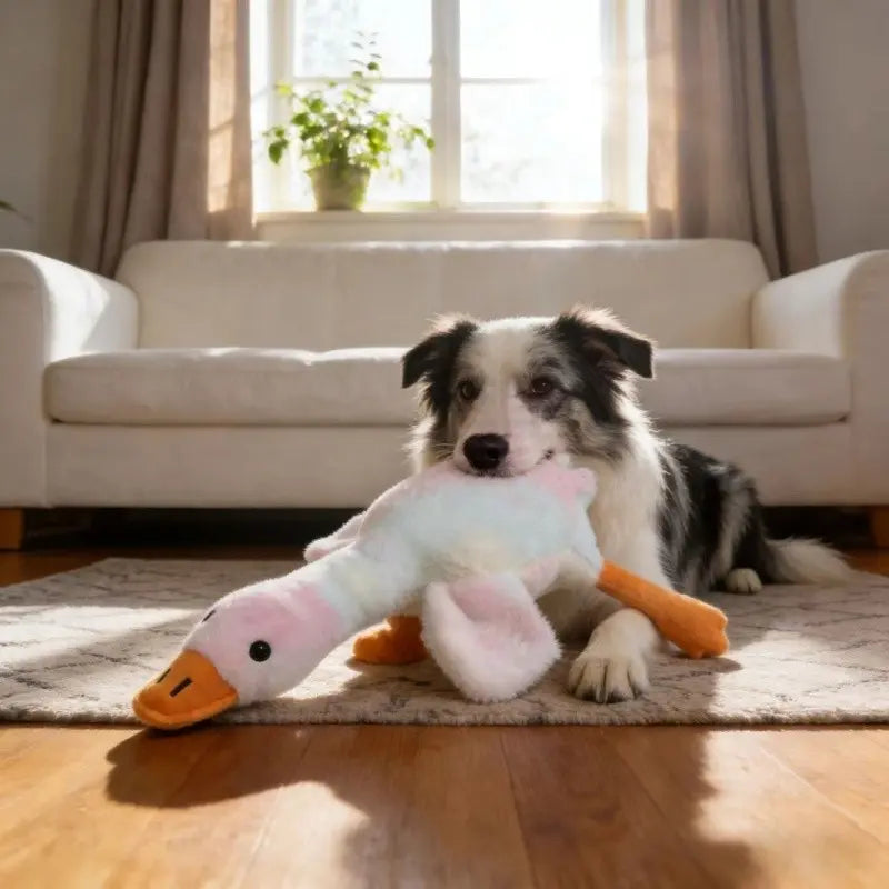 50Cm Soft Colorful Duck Plush Toy - Perfect Relaxation Buddy for Cats & Dogs, Ideal Anxiety Relief Gift for Pets