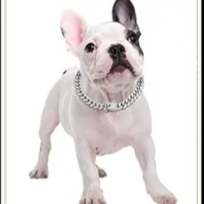 Sparkling Gold Rhinestone Dog Chain Collar - Bling Metal Cuban Link Necklace for Small to Large Pets