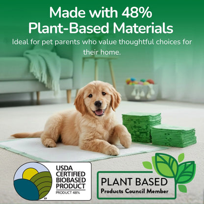 Pet N Pet 50 Count Puppy Training Pads - Eco-Friendly, Super Absorbent & Leak-Proof Unscented Pads for Easy Potty Training