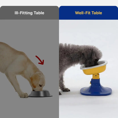 PETHROOM Adjustable Height Pet Feeding Stand & Durable Ceramic Bowl Set - Non-Slip Design for Dogs and Cats